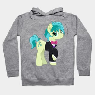 Formal Sandbar Hoodie